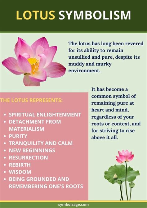 Lotus Symbolism Lotus Flower Symbolism Lotus Symbol Lotus Symbol