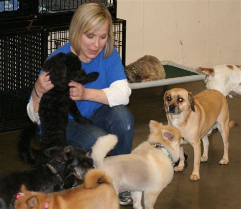 We're called to be a blessing—to the pets we serve, our employees, and those in the world around us. Animal Ark Pet Resort Photo Gallery | Cincinnati, OH