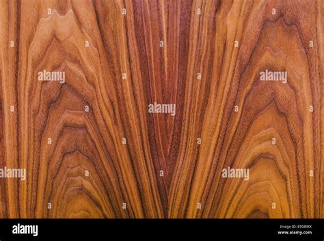 American Walnut Natural Wood Texture As A Background Stock Photo Alamy