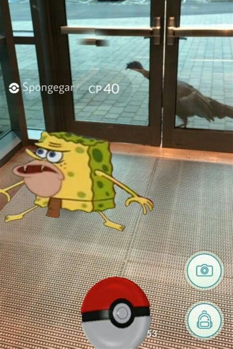 When You Are Playing Pokemon Go And You Find Spongegar Play Pokemon