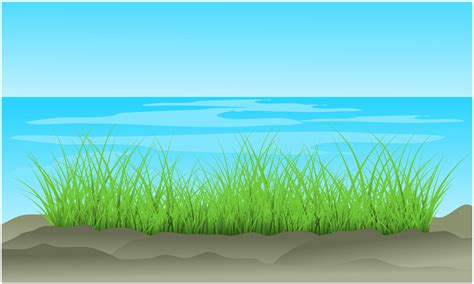 Beach Grass With Ocean And Sky Background 7075890 Vector Art At Vecteezy