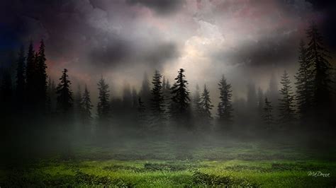 Sunrise In Foggy Woods 1920x1080 Foggy Woods Via Allwallpaper