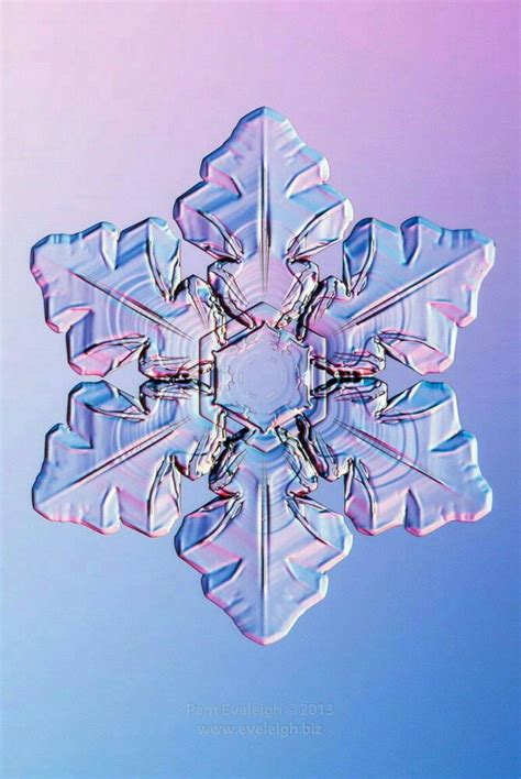 Snowflake Photography By Pam Eveleigh Snowflake Photography