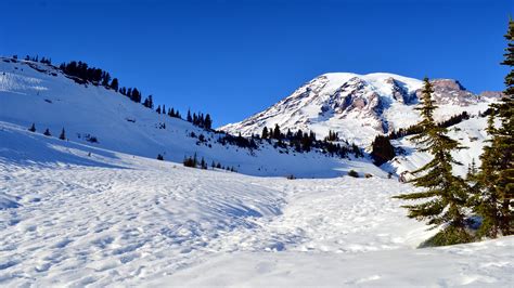 Mount Rainier Wallpapers Hd Pixelstalknet