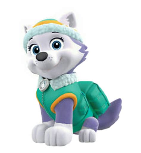 Everest Pawpatrol Pup Paw Patrol Everest I Rocki Clip