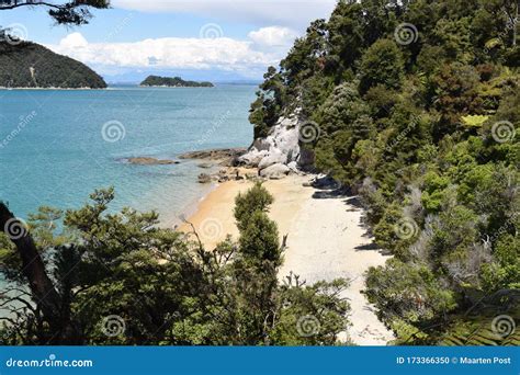 Tropical Beach In Abel Tasman National Park New Zealand Stock Photo