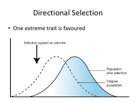 What Are Some Examples Of Directional Selection Socratic