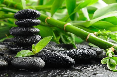 Zen Nature Wallpapers Top Những Hình Ảnh Đẹp