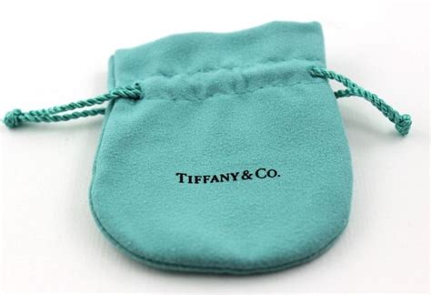 Tiffany And Co Pouch Aqua Blue Suede Jewelry Pouch 350l X 275w Free