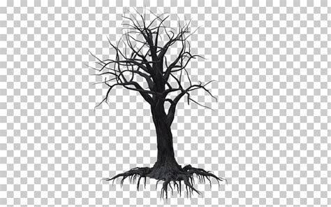 Creepy Tree Drawing At Explore Collection Of