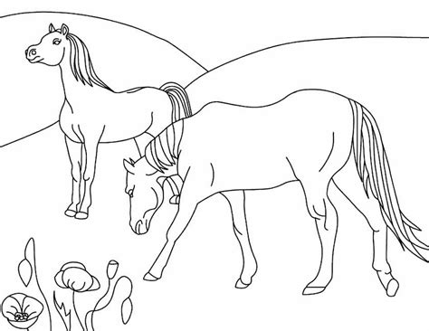 Kleuren.nu paarden in de wei kleurplaten