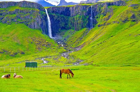 Grundarfjörður Village Your Complete Guide Iceland Travel Guide