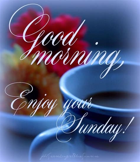 Good Morning Wishes On Sunday Pictures Images Page 16