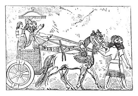 Breve Biograf A De Asurbanipal El Ltimo Gran Rey De Asiria Qui N