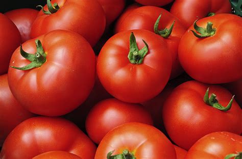 Tomato Round Colo Pac Produce Inc