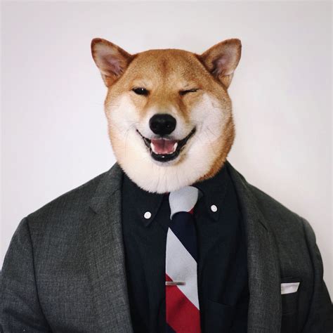 @ buy me a drink. Menswear Dog Book | The Coolector