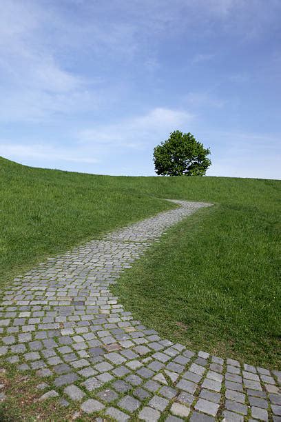 Cobble Stone Path Stock Photos Pictures And Royalty Free Images Istock