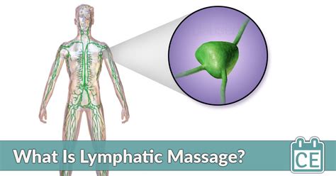For Massage Therapists Interested In Medical Massage Lymphatic Massage Therapy Is A Sensible
