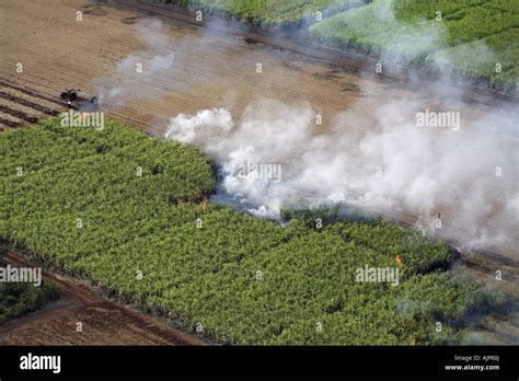 Aerial View Of Burning Sugar Cane Fields Stock Photo Alamy