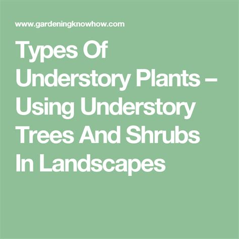 Understory Planting Tips Information On Using Understory Plants In The
