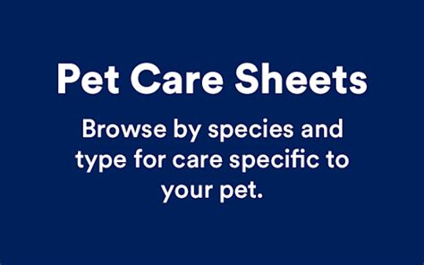 Pet Care Sheets