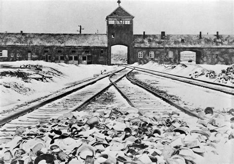 How The Nazis Tried To Cover Up Their Crimes At Auschwitz History