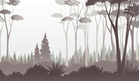 Foggy Forest View Vector Premium