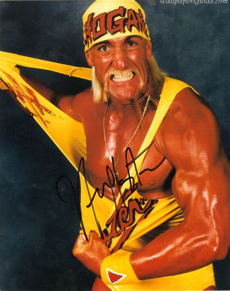 Hulk Hogan Wallpapers Wallpaper Cave