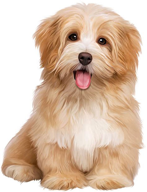 Cute Puppy Love Dogs Sitting Clipart Large Size Png Image Pikpng