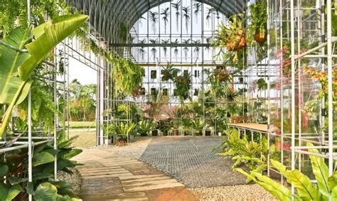 See more ideas about greenhouse plans, greenhouse, diy greenhouse. A greenhouse is transformed into experimental living space ...