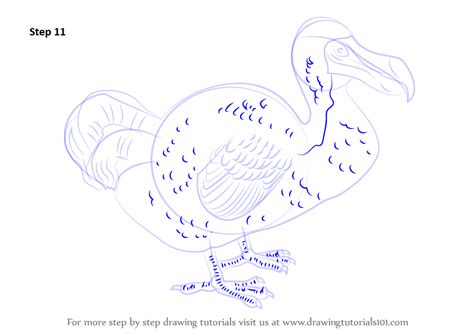 Learn How To Draw A Dodo Birds Step By Step Drawing Tutorials