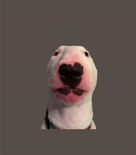 Walter Dog Meme Digital Art By Glenn Tilia