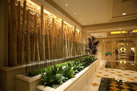 Bamboo architecture and design including framework pavilions, housing, thatched roof buildings in vietnam, interiors and laminated furniture. Bamboo Decoration Plus Cool Greenery Plant Display On ...