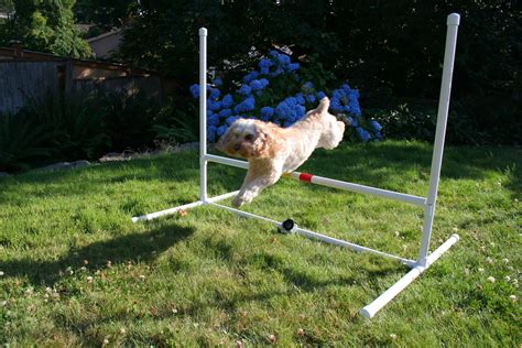 Dog Agility Jump 8 Steps With Pictures Instructables