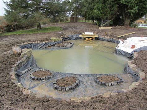 Check spelling or type a new query. Pond Tips - Building Ponds - Water Gems