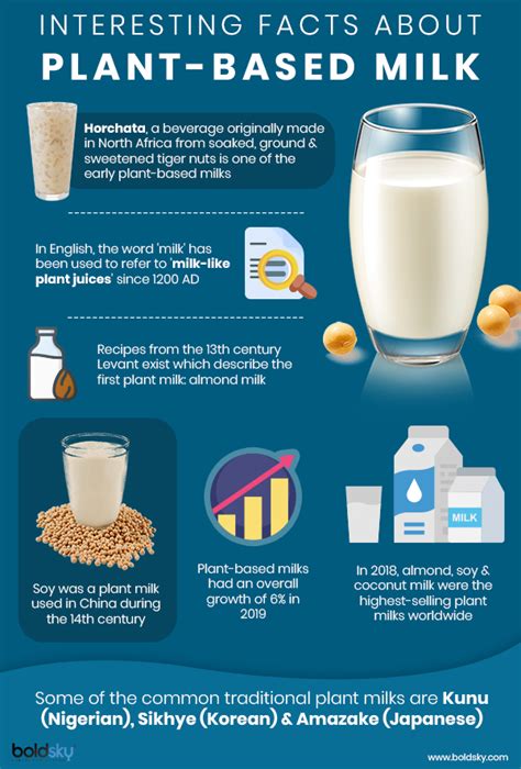 Amazing Health Benefits Of Vegan Milk Plant Based Milk