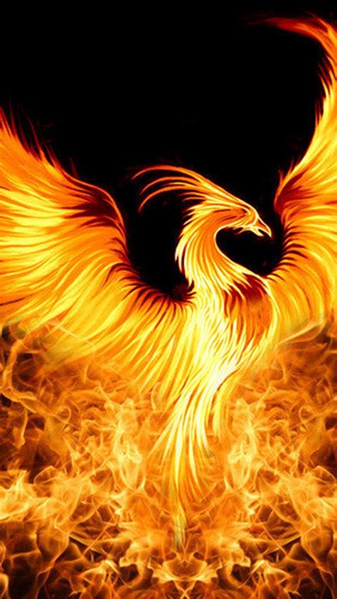Cool Phoenix Wallpapers Top Free Cool Phoenix Backgrounds