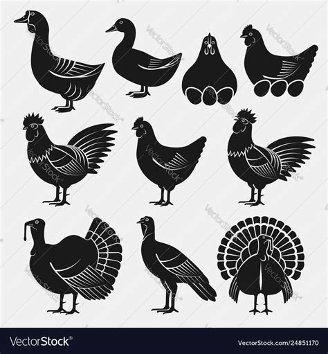 Poultry Silhouettes Set Domestic Fowls Icons Vector Image