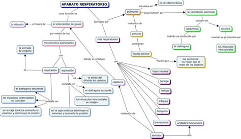 Get Mapa Mental Del Sistema Respiratorio Con Dibujos Gif Dato Mapa