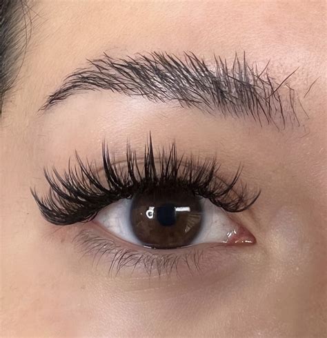 Volume Eyelash Extensions The Perfect Choice For Creating A Dramatic