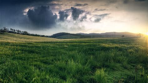 1920x1080 Grass Field Rain Nature  536 Kb Hd Wallpaper Rare Gallery