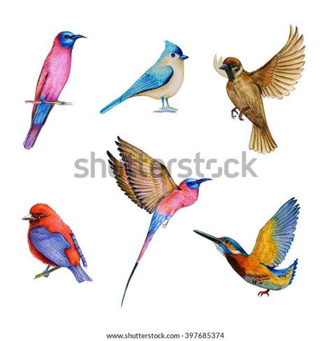 Watercolor Set Bird Flying Birds Stock Illustration 397685374