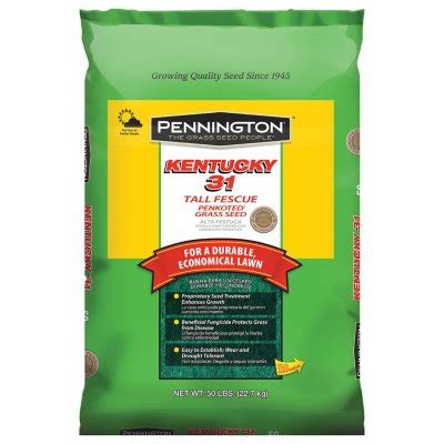 Pennington Kentucky Tall Fescue Grass Seed Lbs Sam S Club