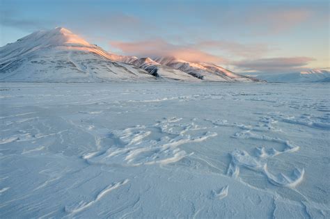 What Does It Take To Photograph The Arctic Nature Fujilove Magazine