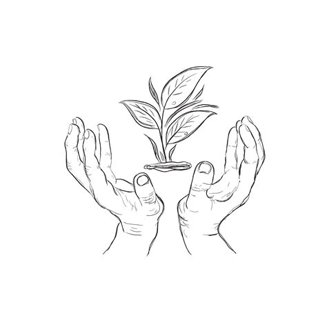Hands Holding Plant Sketch Custom Designed Illustrations ~ Creative