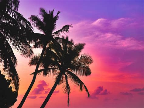 Desktop Wallpaper Tropical Island Beach Pink Sky Sunset Palms Hd