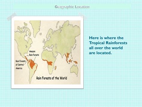 Identify the locations of tropical rainforests. PPT - The Tropical Rainforest PowerPoint Presentation, free download - ID:3069748