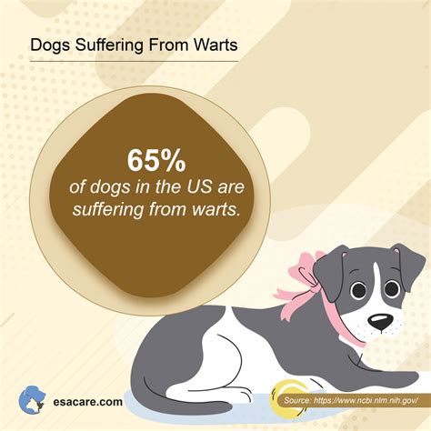 Everything You Need To Know About Treating Warts On Dogs Esa Care