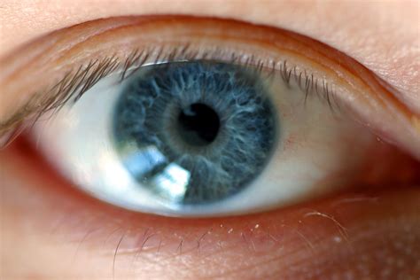 Todas As Pessoas Com Olhos Azuis Descendem De Um único Ser Humano