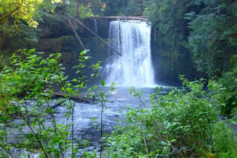 Silver Falls State Park Natural Beauty And Waterfalls Linda Atwell